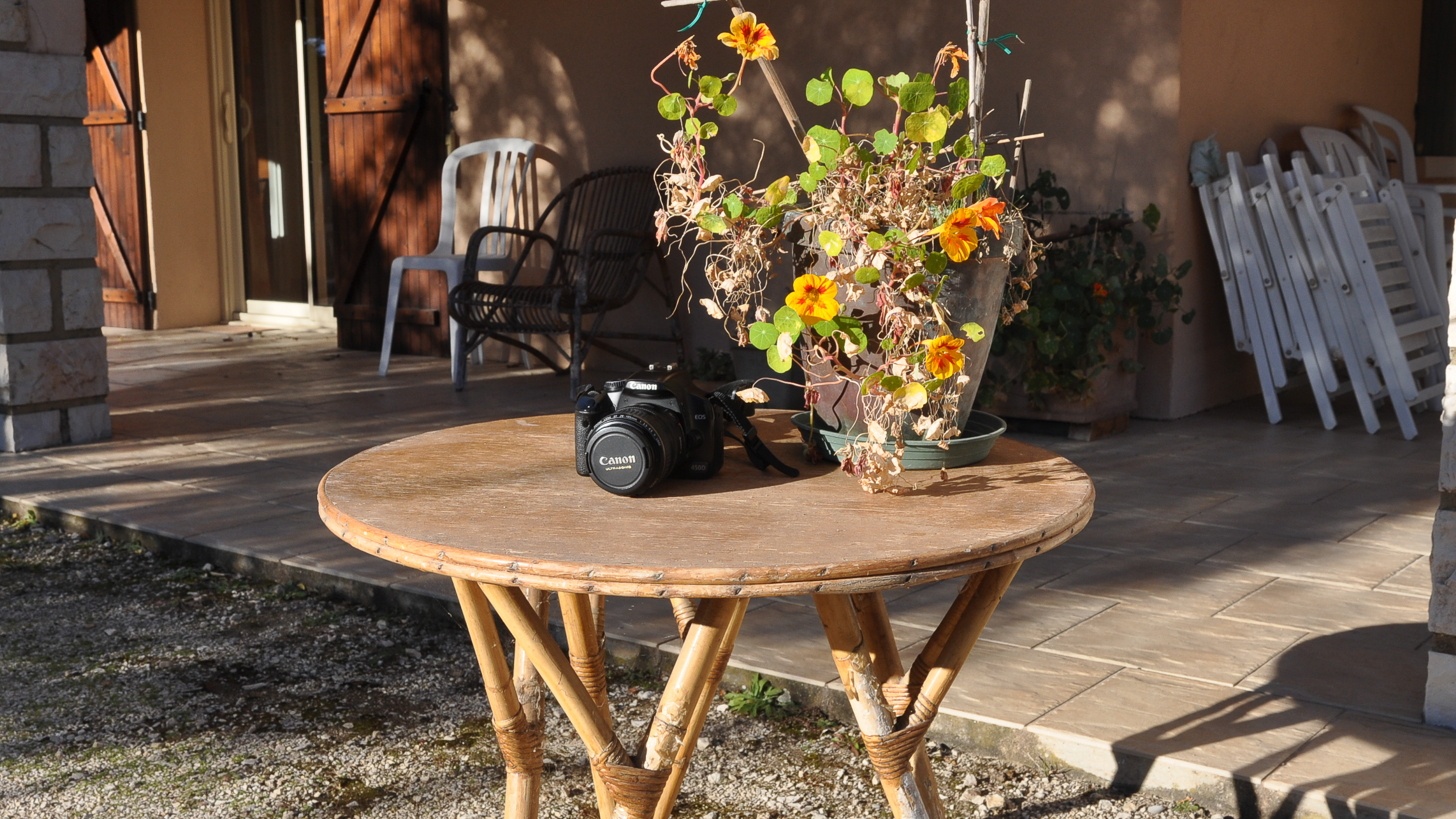 Vue arrière de l'appareil