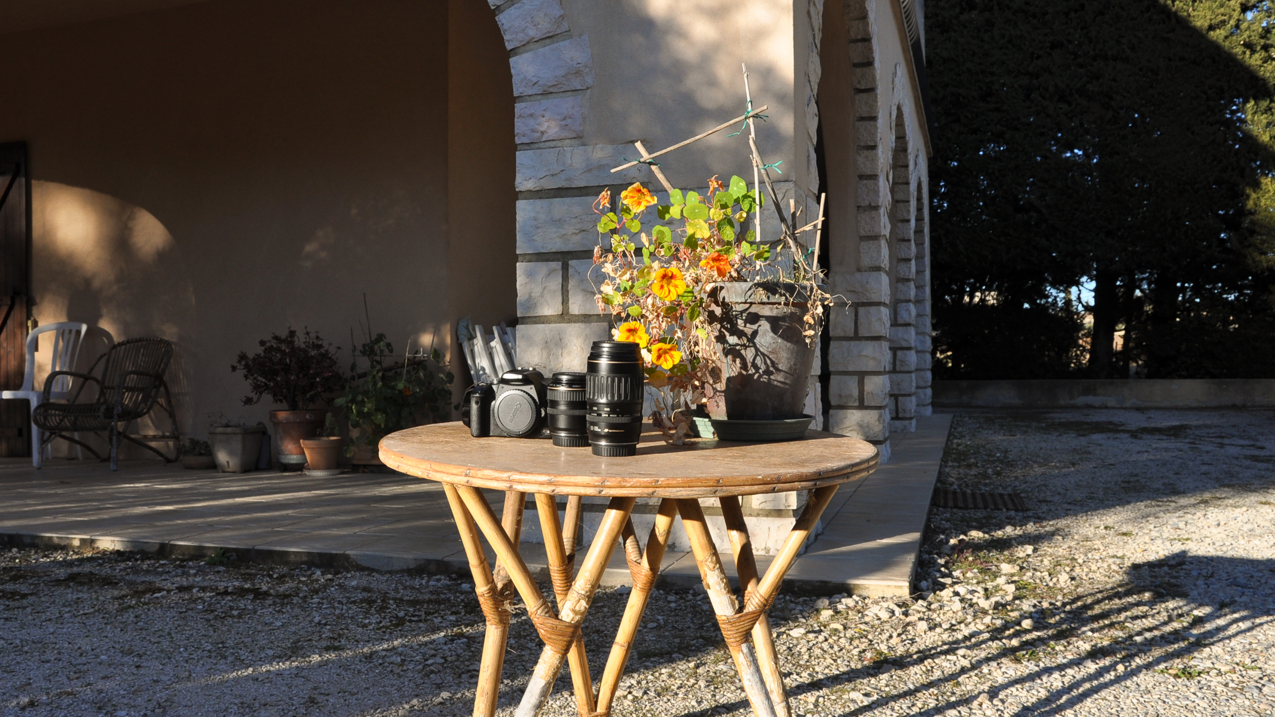 Vue arrière de l'appareil